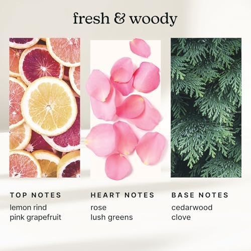 Homedics SereneScent Waterless Diffuser Oil Refill — Tokyo Tea (120ml)