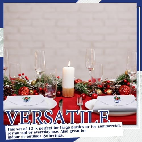 HunnmingRe 12 Pcs Christmas Blue and White Cloth Napkins, 17x17 Inch