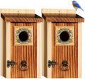 SISTERBIRD 2 Pack Premium Bird House, Warming Gifts Bird Houses for Outside