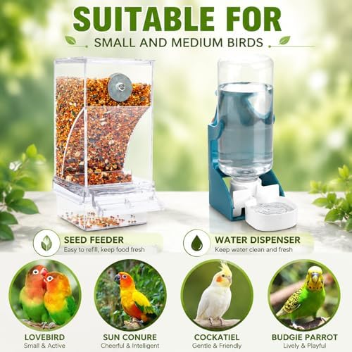 Rypet No-Mess Bird Feeder and Water Dispenser Set for Small Birds