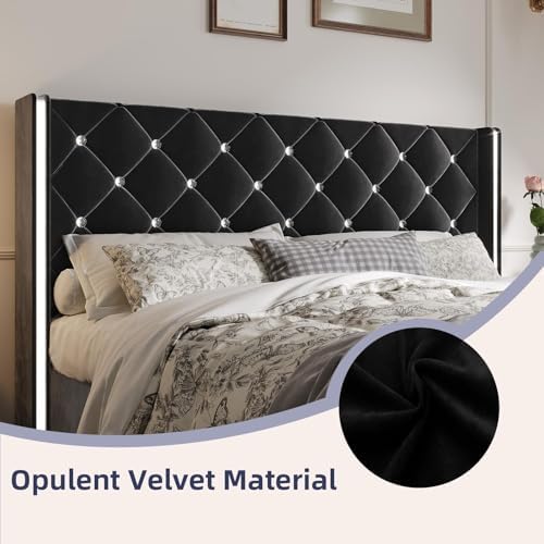 HOMBCK King Bed Frame with Velvet Headboard, Silverside Wingback, Black