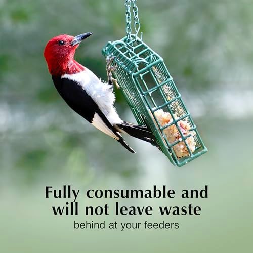 C&S Cranberry Delight No Melt Suet Dough, Suet Cakes for Wild Birds