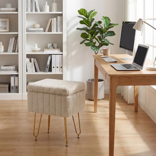DUMOS Vanity Stool Chair, Ottoman with Storage, Makeup Cute Soft Small Footstool, Modern Style Faux Fur Seat with 4 Metal Legs & Adjustable Feet for Dressing, Living Room Bedroom Dorm, Taupe