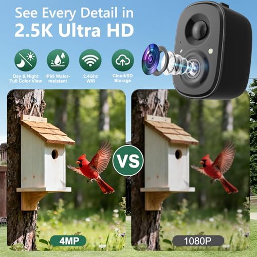 Smart Bird Camera Solar Powered with Pole for Feeder/Bath Birdwatching