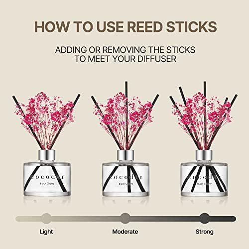 COCODOR Preserved Real Flower Reed Diffuser/Pure Cotton / 6.7oz(200ml) / 2 Pack/Reed Diffuser Set, Oil Diffuser & Reed Diffuser Sticks, Home Decor & Office Decor, Fragrance and Gifts