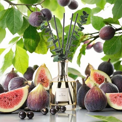 COCORRÍNA Fig Bloossom Reed Diffuser, 6.76 oz