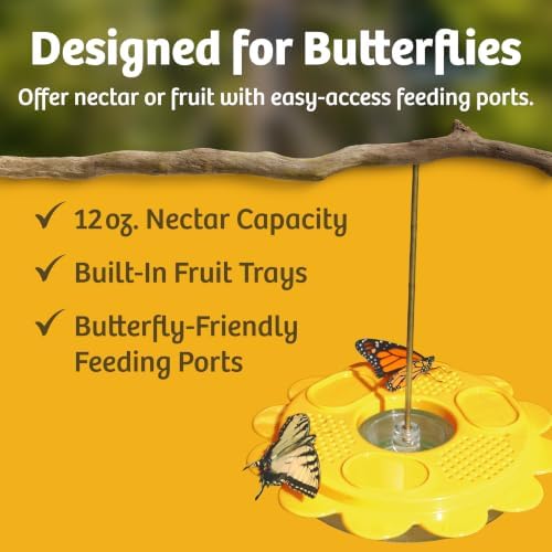 Birds Choice Flutterby Butterfly Feeder with Brass Hanging Rod