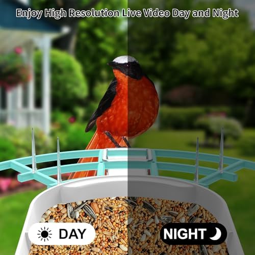 Bird Feeder with Camera, Auto Capture Wiress Bird Feeder Camera, AI Identify Bird Breed,FHD Waterproof Outdoor Bird Watching Camera,Solar-Powered, for Garden,Yard,Park,Ideal Gift for Mom and Dad,Blue
