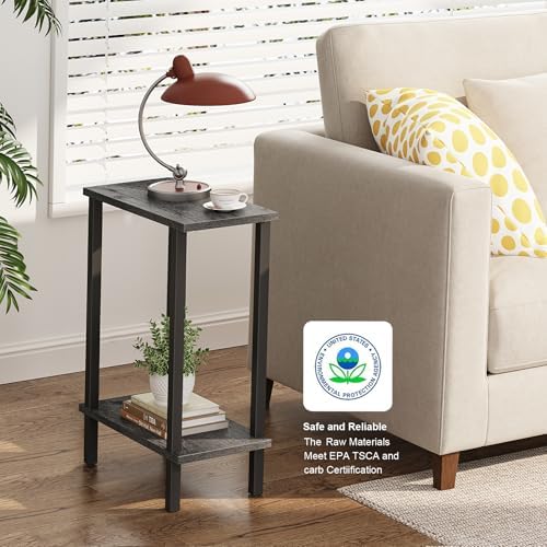 TUTOTAK Narrow Side Table, 2-Tier Small End Table for Couch