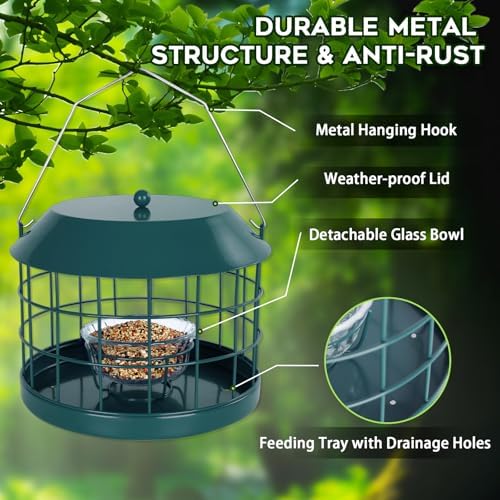 Gbekery Bluebird Feeder for Mealworms with Glass Bowl for Outdoors, Green