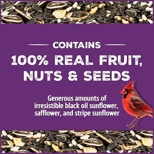 Pennington Songbird Nut & Fruit Blend Wild Bird Seed for Outside Feeders