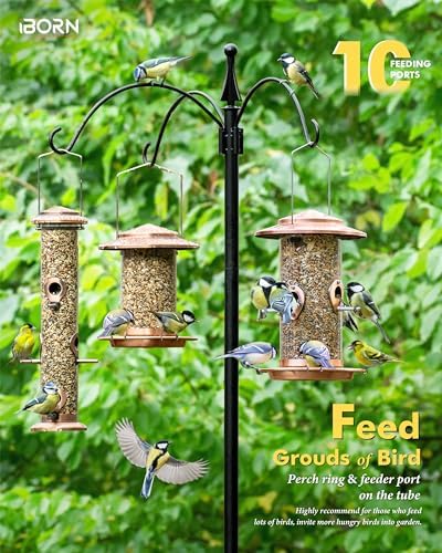iBorn Metal Bird Feeder for Outside Hanging,Wild Bird Feeders for Cardinal,17.8cm Large Roof&Tray Copper-Plating 10 Port(Seed is not Included)