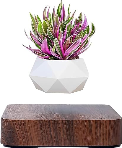 Levitating Air Bonsai Pot,Cool Stuff, Rotation Flower Pot Planters, Potted Plant Home Desk Decor in Flower Pots & Planters from Home & Garden on (Dark Color)