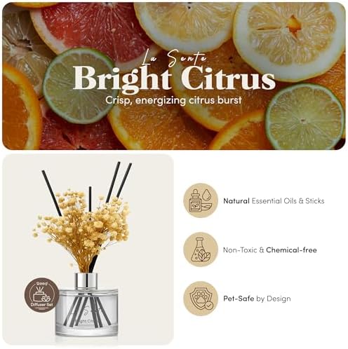 Bright Citrus Reed Diffuser Set, 6.7oz / 200 ml