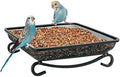 MIXXIDEA Ground Bird Feeder Tray, Metal Platform Mesh Seed Tray for Bird Feeders, Great Attracting Garden Yard Decoration for Wild Birds Squirrels Dove (1 Pack)