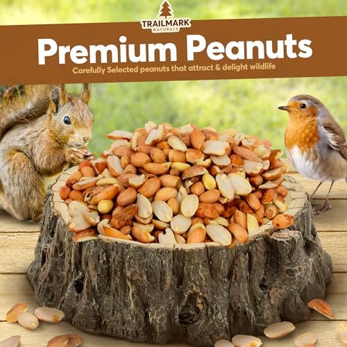 11 LB - Raw Shelled Peanuts for Squirrels, Out of Shell Peanuts for Birds and Wildlife- Squirrel Food, Wild Bird Seed - Grown in The USA
