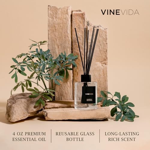 VINEVIDA Prime Reed Diffuser for Home & Bathroom | Long-Lasting Scent Sticks Set | Oil Stick Diffuser | Bathroom Scent - Room Fragrance No. 3400 - Inspired by: Baccarat