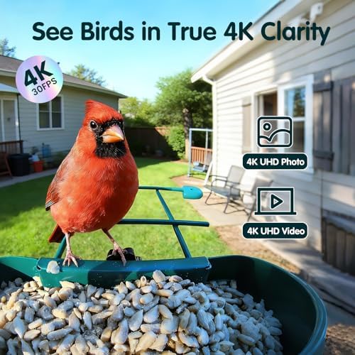 4K Smart Bird Feeder with Camera,No Subscription,Solar Powered