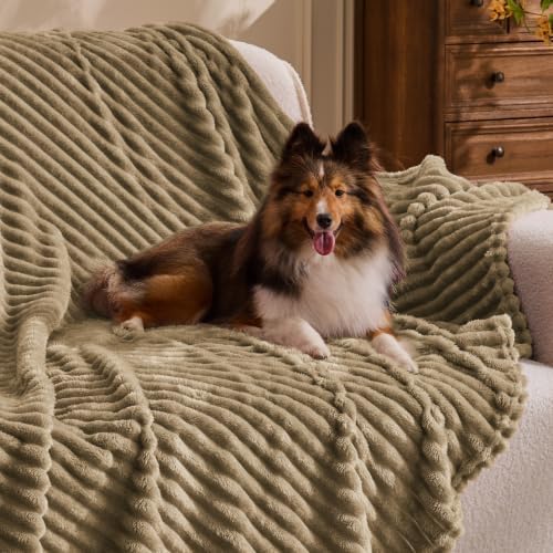 BEDELITE Ribbed Jacquard Brown Fleece Throw Blanket for Couch, 50x70 Inch