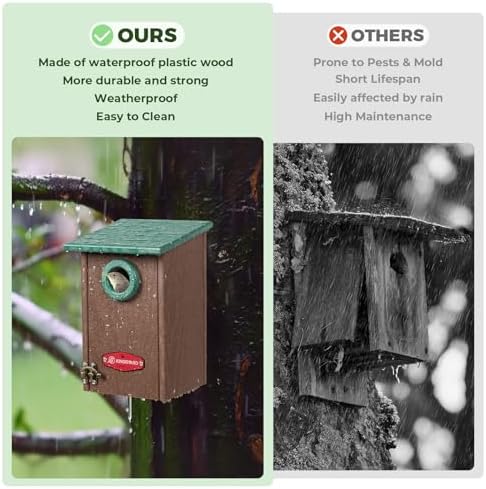 Kingsyard Wren Bird House with Predator Guard, Recycled Poly Lumber