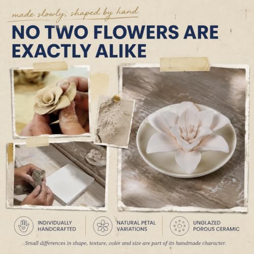 Passive Diffuser for Essential Oil-Ceramic Diffuser(Lily)