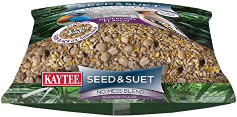 Kaytee Seed & Suet No Mess Blend Blueberry Flavor 10 Pounds