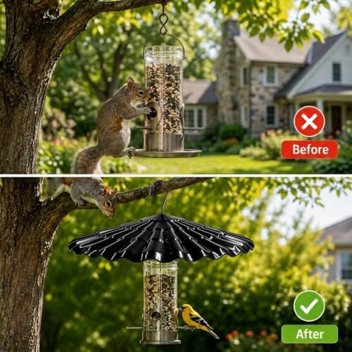 13.5'' Bird Feeder Rain Guard - Bright Dome Shield Umbrella Cover, Squirrel Proof Baffle for Outside Pole & Hanging Standard Wild Bird Feeders, Weatherproof Shatterproof Canopy,(1 Pack, Coffee)