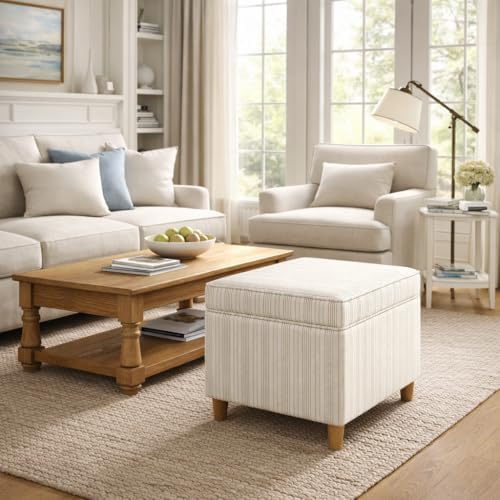 Spatial Order 24" Dinah Collection Storage Ottoman - Cream Marigold Pinstripe Fabric