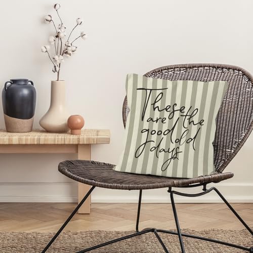 Inspirational These are the Good Old Days Throw Pillow Cover 18x18, Positive Motivational Decorative Pillow Covers for Home Living Room Bedroom, Neutral Striped Accent Pillows Cover Pillowcases