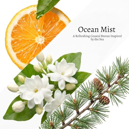 COCORRÍNA Reed Diffuser Refill, Ocean Mist, 3.38 fl oz, 6 Reeds
