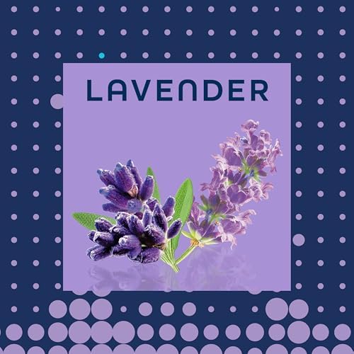 Glade Air Freshener Room Spray, Lavender Scent, Odor Fighting to Deliver Long Lasting Freshness, 7.3 Oz, 6 Count