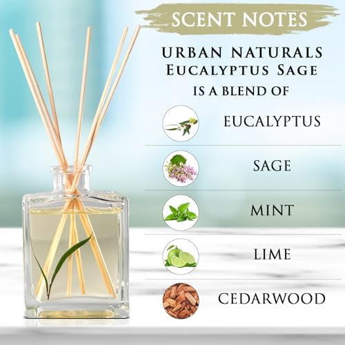 Urban Naturals Reed Diffuser Set, Eucalyptus Sage - Bathroom Shelf Décor