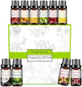 PHATOIL Fragrance Oil Set 10 Oils for Home Diffuser, Aromatherapy 0.34fl.oz