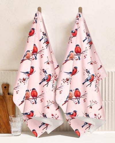 Miss Adola Cute Kitchen Towels Set of 2, 18 x 26 Inch, Winter Birds