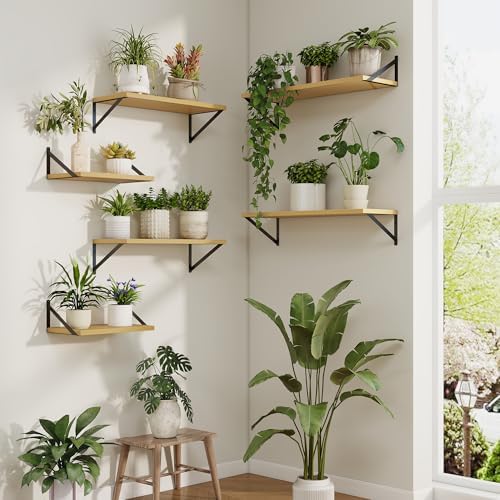 Axeman Deep Floating Shelves, 48'' x 10'' Oak Wall Shelves Set of 2