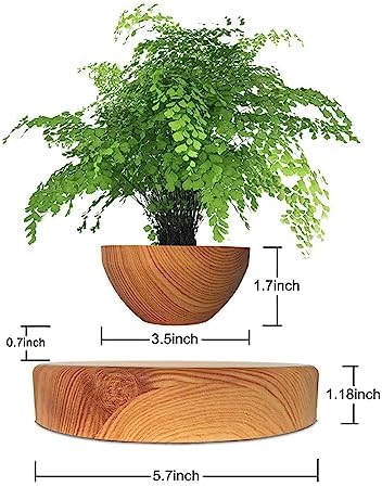 Floating Magnetic Levitating Flower Pot Bonsai Air Plant Pot Planter Potted for Home, Office & Desk Decor Gift