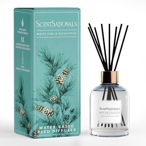 ScentSationals White Pine & Eucalyptus Water-Based Reed Diffuser - 5 FL OZ