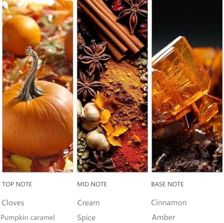 Waterless Diffuser Oil Pumpkin Cream 20ML Sampler