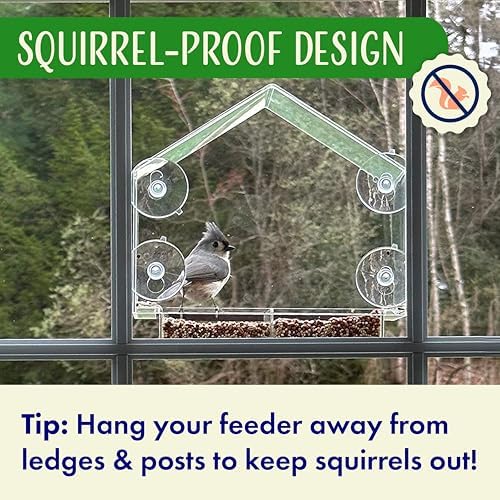 Window Bird Feeder with Strong Suction Cups Clear Transparent Bird House