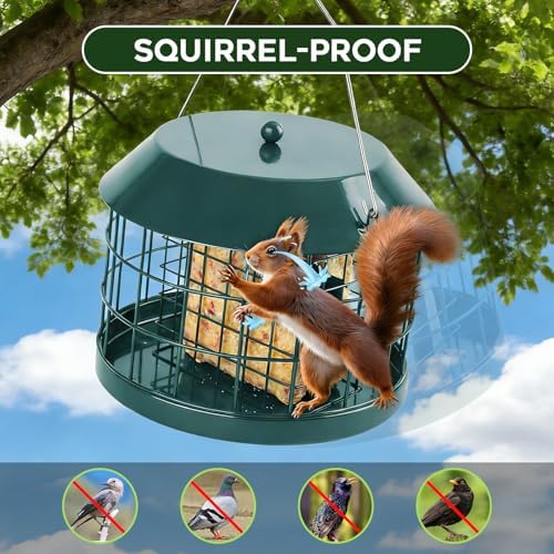 Gbekery Squirrel Proof Suet Bird Feeders for Outdoors Hanging, Green