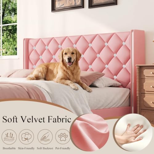 HOMBCK Full Size Bed Frame with Headboard, Silverside Wingback, Pink