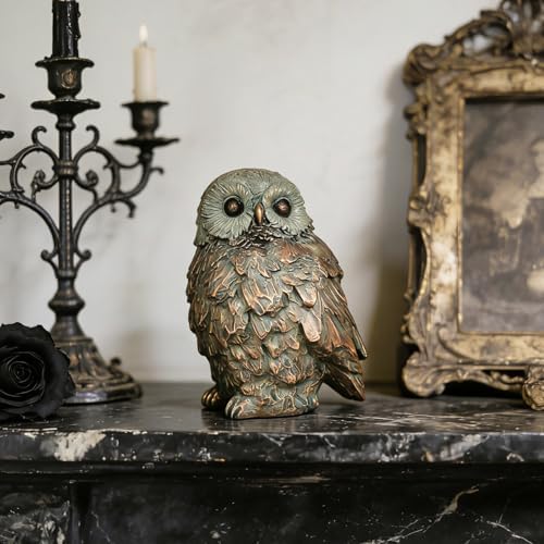 Cynkeyee Resin Rustic Farmhouse Owl Statue