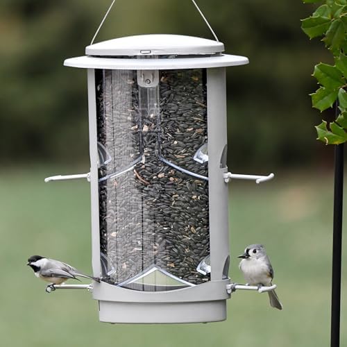More Birds X-1 Squirrel-Proof Bird Feeder with 4.2-Pound Bird Seed Capacity and Four Feeding Ports