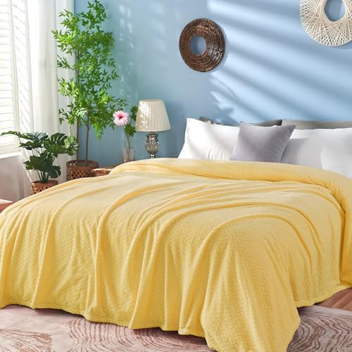 inhand Champagne Gold Fleece Throw Blanket for Couch, Super Soft Flannel Blanket, Lightweight Fuzzy Blankets Sofa Bed Office, Washable Cozy Plush Fleece Blankets&Throw for All Season(50x60 Inches)