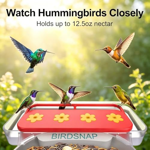 birdsnap® Hummingbird Feeder Perch, 2-in-1 Jelly & Water Feeder Box