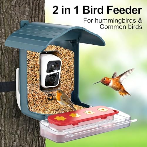 birdsnap® Hummingbird Feeder Perch, 2-in-1 Jelly & Water Feeder Box