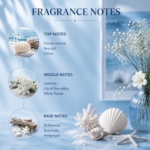 Airkeep Ocean Mist&Sea Salt Reed Diffuser Refill – 6.76 fl oz – Premium Scented Oil for Home Aromatherapy – Long-Lasting Fragrance for Reed Diffusers – Perfect for Bathroom, Bedroom & Home Decor