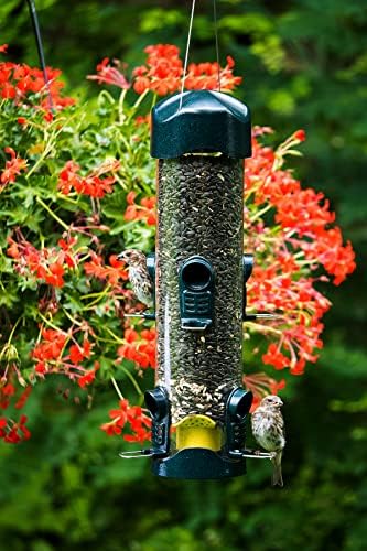 Brome Mega 600 Wild Bird Feeder