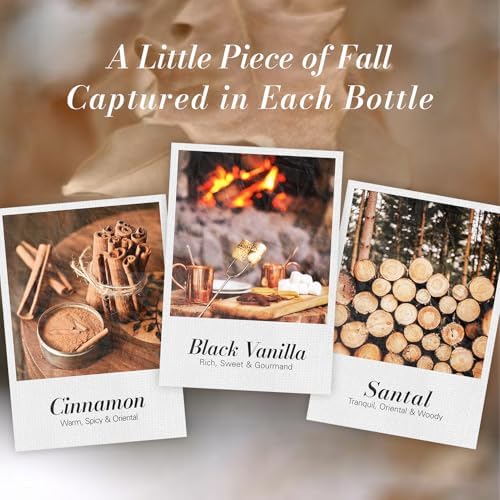 JCLOUD Fall Fragrance Oils Set, Autumn Scented Oils Gift Set, 6x10mL