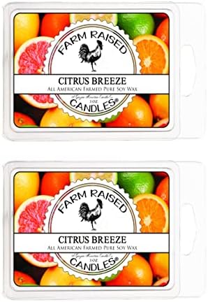 Citrus Breeze Soy Wax Melts, 2 Pack